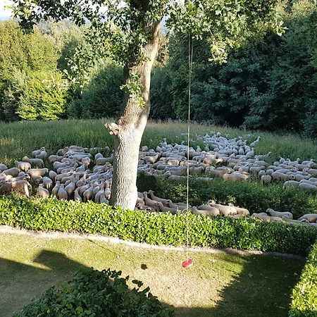 Ferienwohnung "Tecklenburger Augenblicke" Zewnętrze zdjęcie