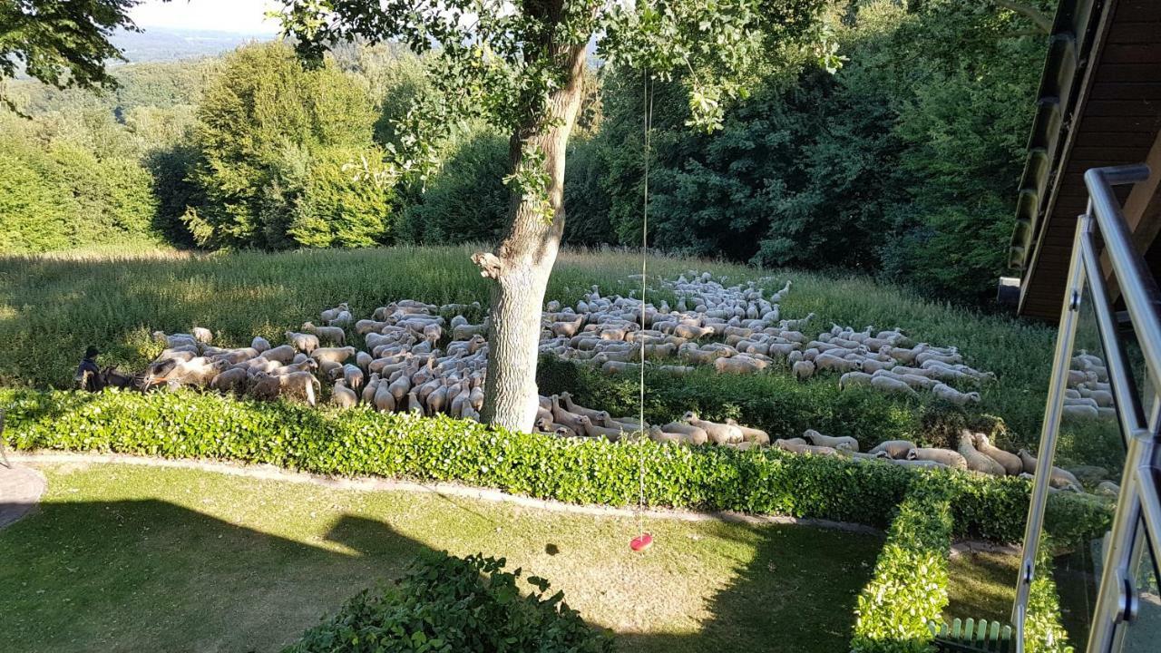 Ferienwohnung "Tecklenburger Augenblicke" Zewnętrze zdjęcie